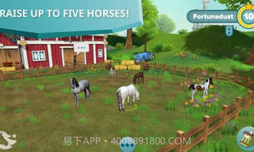 明星马厩截图1 明星马厩截图1