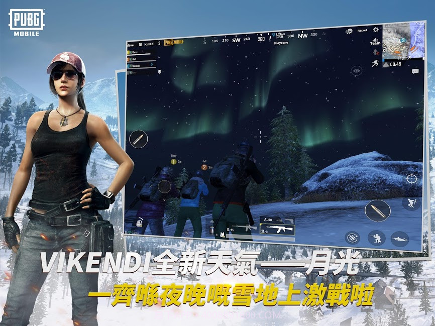 pubg手游国际服apk（BETA PUBG MOBILE LITE）截图5