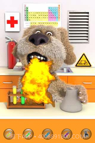 会说话的狗狗本截图3