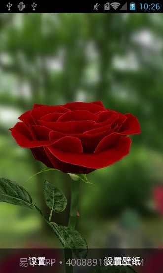 3D玫瑰动态壁纸截图1 3D玫瑰动态壁纸截图1