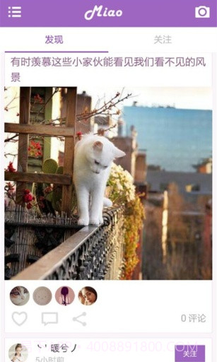 喵星球截图2 喵星球截图2