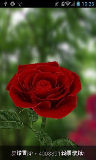 3D玫瑰动态壁纸截图2 3D玫瑰动态壁纸截图2