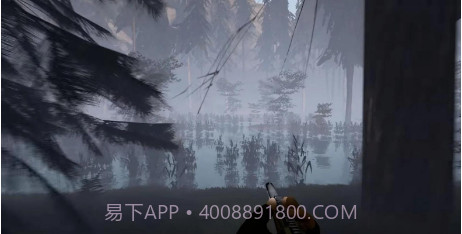 寻找大脚怪截图3 寻找大脚怪截图3