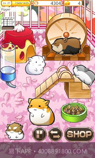 可爱的小仓鼠 Hamster Life截图3