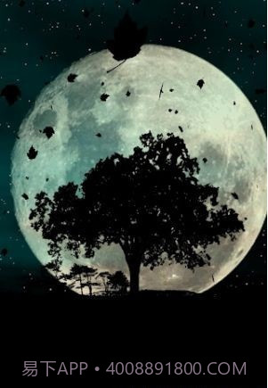 秋天动态壁纸截图2 秋天动态壁纸截图2