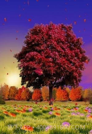 秋天动态壁纸截图3 秋天动态壁纸截图3