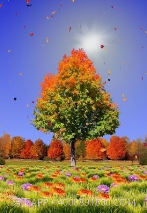 秋天动态壁纸截图1 秋天动态壁纸截图1