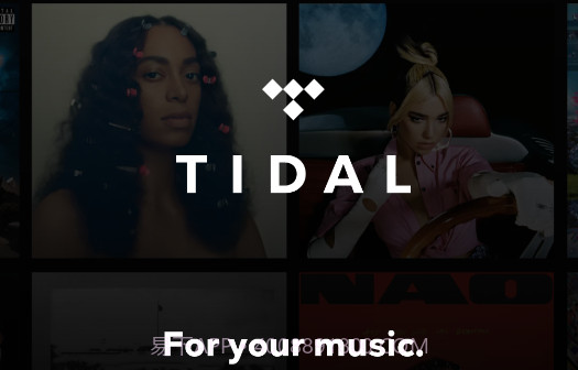 TIDAL音乐正版截图2 TIDAL音乐正版截图2