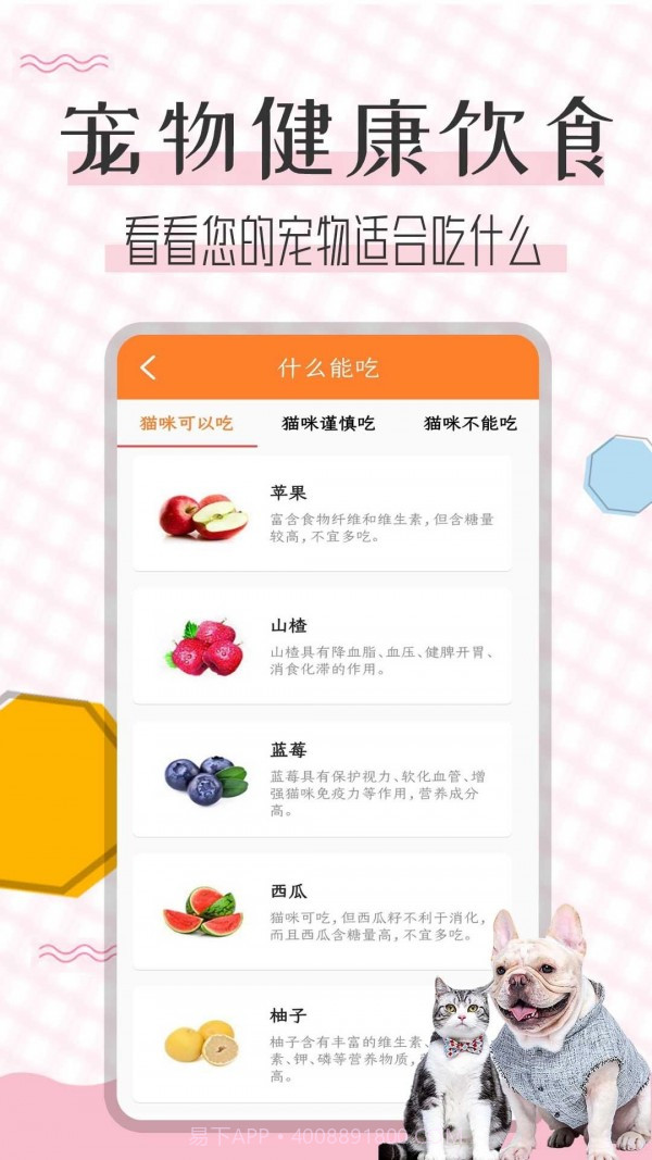 猫语翻译宝截图5 猫语翻译宝截图5