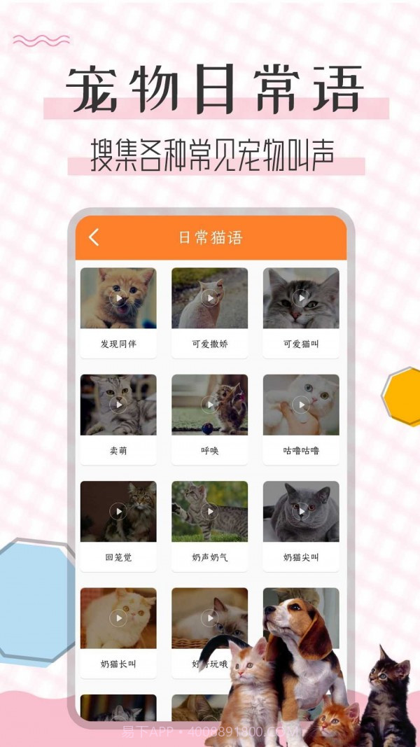 猫语翻译宝截图3 猫语翻译宝截图3