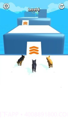 狗狗冲冲冲截图3 狗狗冲冲冲截图3