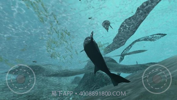 真正的鲨鱼模拟器截图4 真正的鲨鱼模拟器截图4