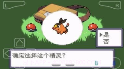 口袋妖怪究极绿宝石全神兽版截图3 口袋妖怪究极绿宝石全神兽版截图3