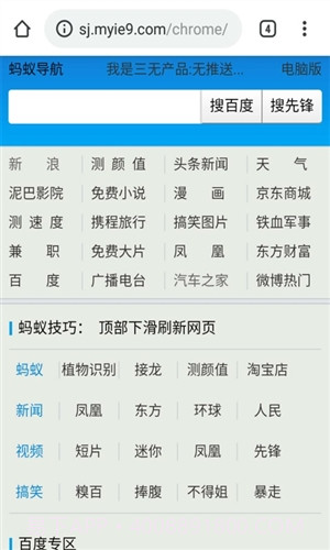 Chrome蚂蚁截图2