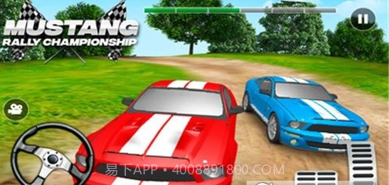 赛车拉力锦标赛截图3