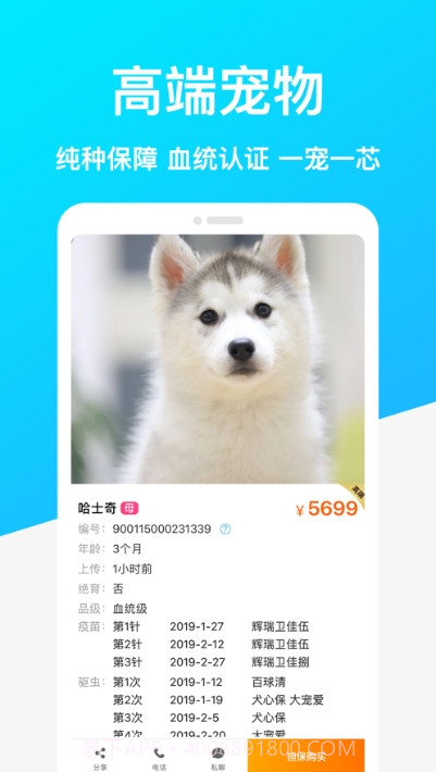共宠(共享宠物)截图1 共宠(共享宠物)截图1