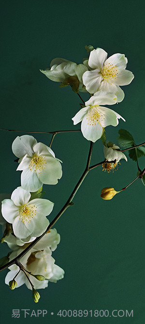 小米澎湃OS主题软件截图1