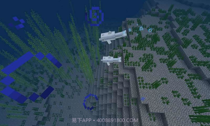 我的世界海洋截图4