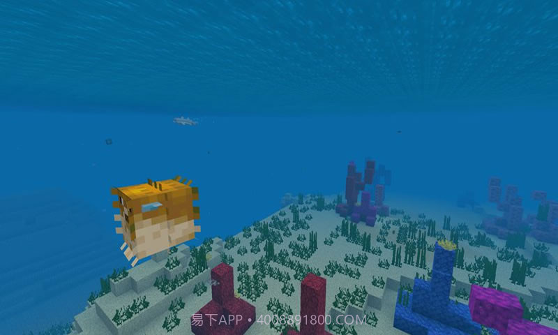 我的世界海洋截图2