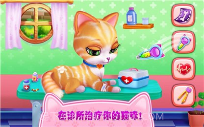 我的喵星朋友截图2 我的喵星朋友截图2