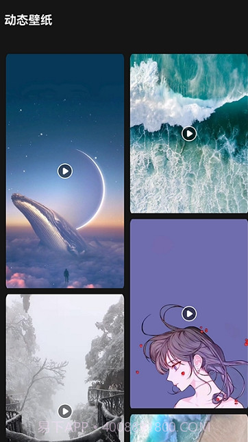 lr壁纸大全截图2 lr壁纸大全截图2