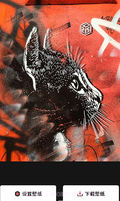 lr壁纸大全截图1 lr壁纸大全截图1