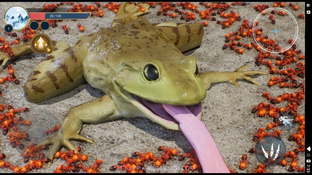 蚂蚁生存日记截图3 蚂蚁生存日记截图3