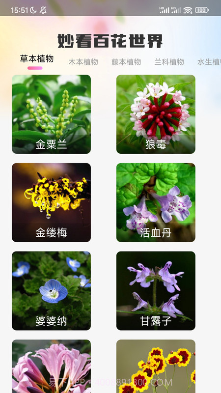 妙看百花截图3 妙看百花截图3