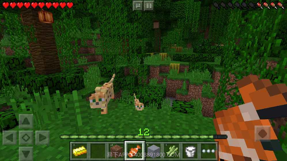 我的世界1.11.0.7中文版截图2