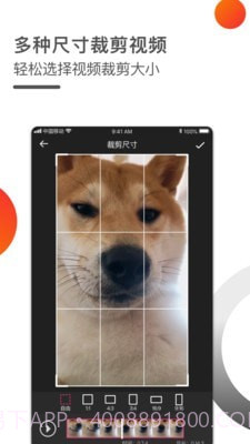 短视频一键去水印截图4
