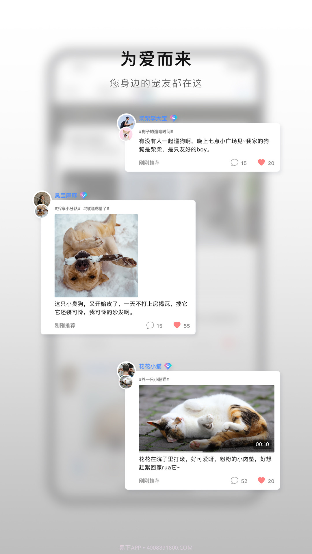 小它截图2 小它截图2