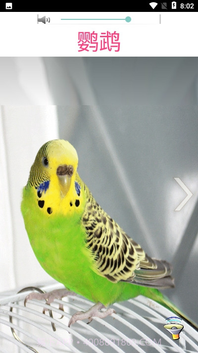 3D丛林之旅截图3 3D丛林之旅截图3