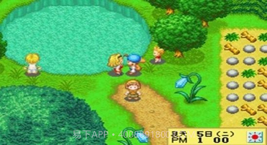 牧场物语精灵驿站中文版截图1 牧场物语精灵驿站中文版截图1