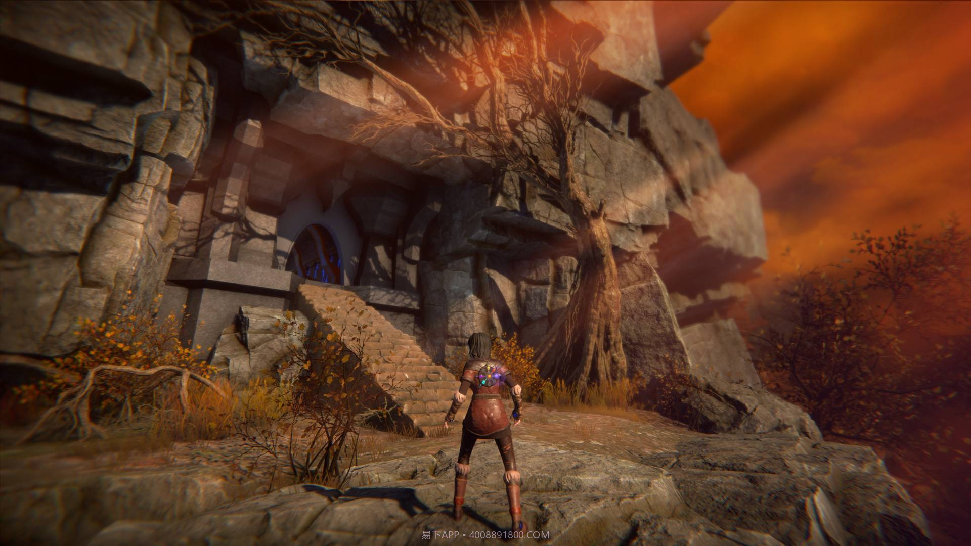 生命之种SeedofLife最新版截图3 生命之种SeedofLife最新版截图3