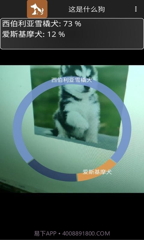 这是什么狗截图5