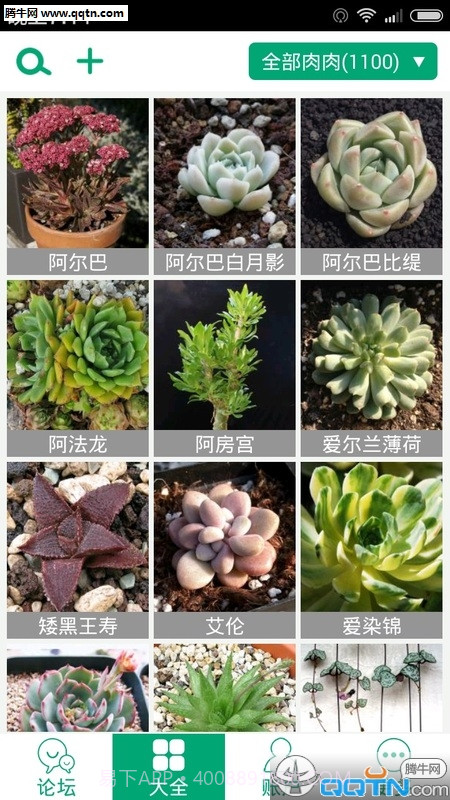 多肉植物app截图3