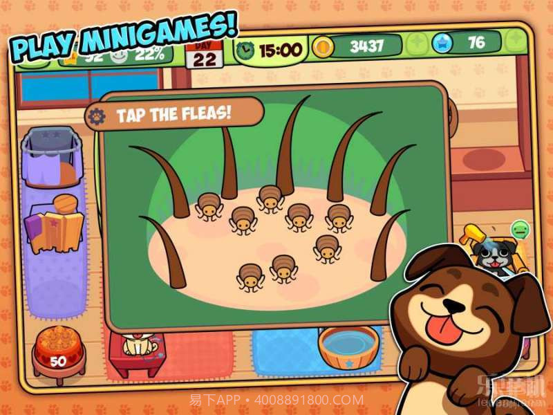 宠物洗剪吹截图4 宠物洗剪吹截图4