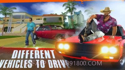 侠盗生存之城2020截图2