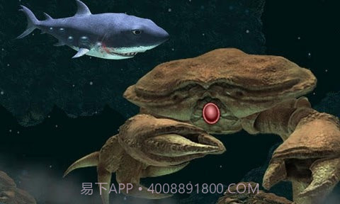 嗜血狂鲨2截图2 嗜血狂鲨2截图2