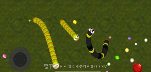 Woorm截图1 Woorm截图1