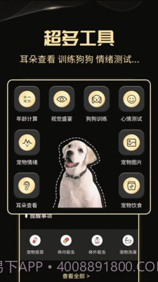 人狗交流神器截图3 人狗交流神器截图3