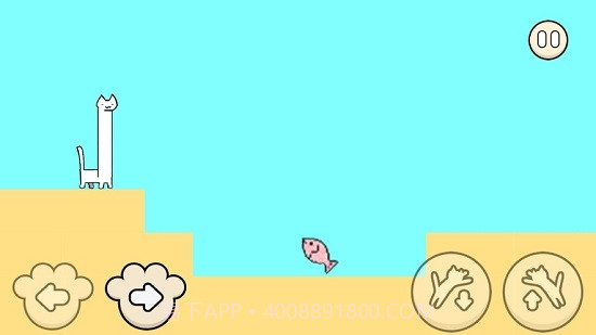 我家的猫咪有残疾官网版截图2