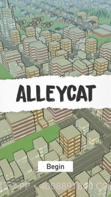 小巷猫截图2 小巷猫截图2