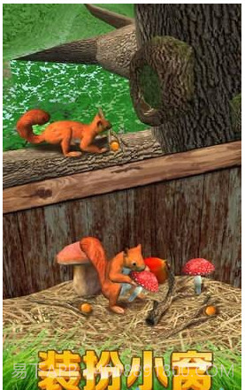 松鼠模拟器最新版截图1 松鼠模拟器最新版截图1