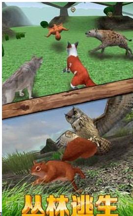 松鼠模拟器最新版截图2 松鼠模拟器最新版截图2