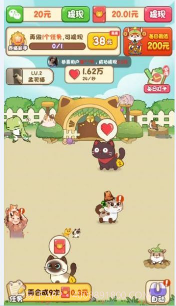 我家猫舍截图1 我家猫舍截图1