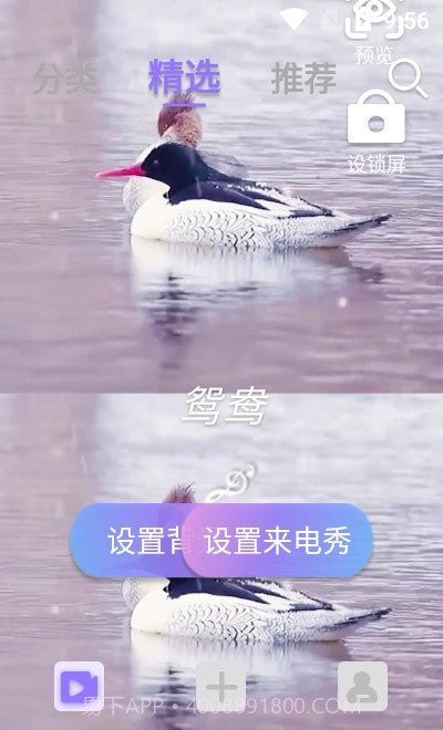 视频铃声来电秀截图3 视频铃声来电秀截图3