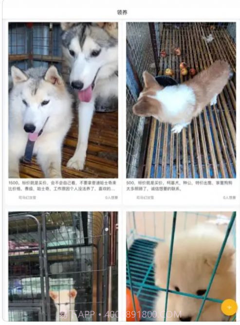 小爱宠物口令截图3