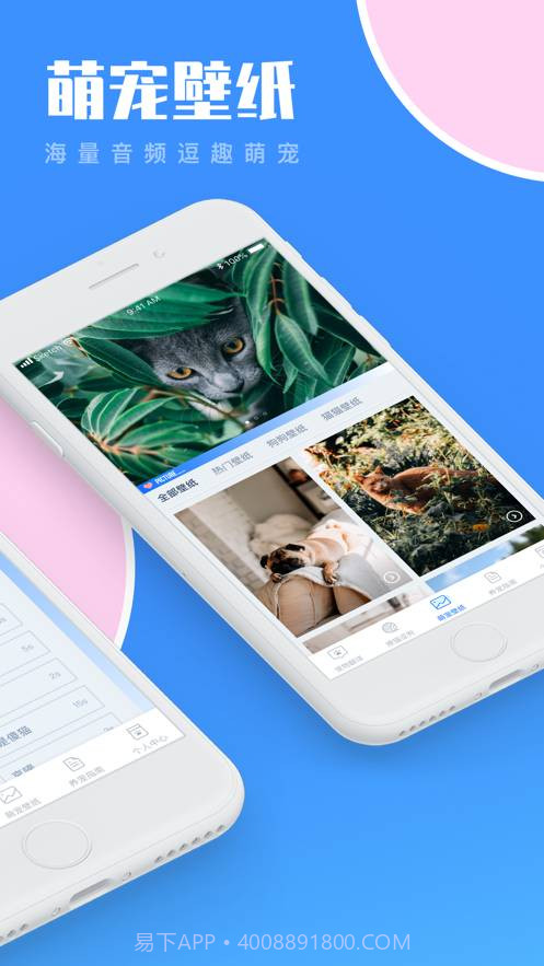 人狗猫交流器-与猫咪狗狗交流截图2 人狗猫交流器-与猫咪狗狗交流截图2