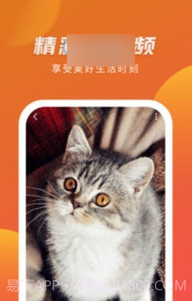 优赏短视频赚钱版截图3 优赏短视频赚钱版截图3